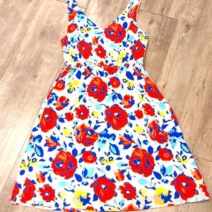 Rose Print Cotton Fit & Flair Summer Dress